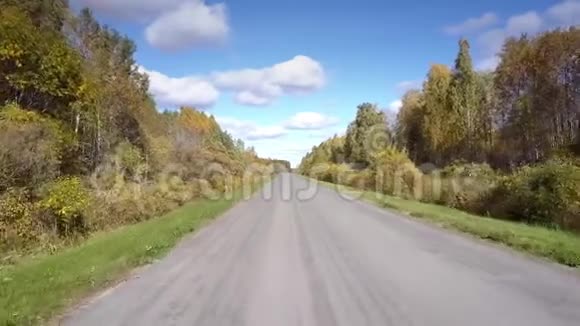 近距离飞行的柏油路与绿色坚硬的肩膀木材视频的预览图
