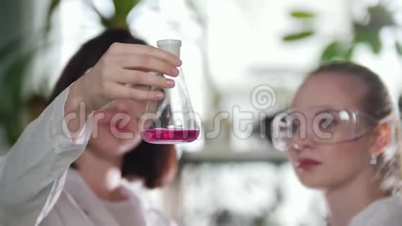 化学实验室两个年轻的女人看着瓶子里有粉红色的液体并评估结果视频的预览图