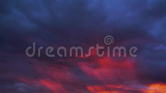 深蓝紫色和红色的风暴天空背景在日落与惊人的活力云形成4k视频的预览图