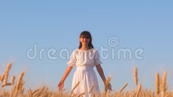 穿着白色衣服的女孩走着微笑着看着一片金色的麦地女孩手抚摸着成熟的麦穗慢悠悠的视频的预览图