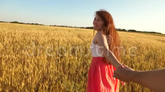 长发女孩带着麦子跑过田野牵着一个男人手笑着慢动作视频的预览图