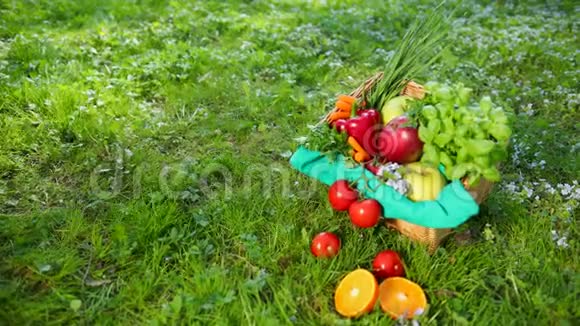 蔬菜和水果躺在篮子里在草地上视频的预览图