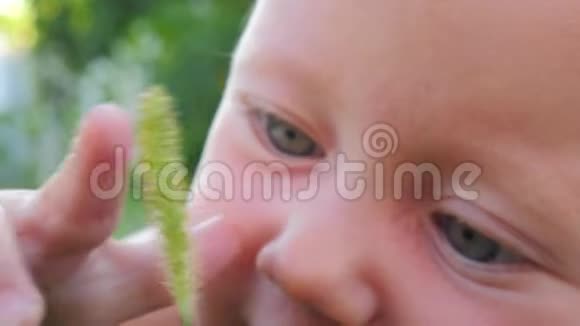 婴儿的自然肖像人性与自然幸福的家庭观念视频的预览图