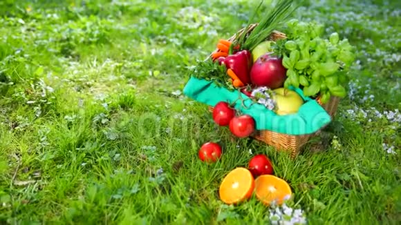 蔬菜和水果躺在篮子里躺在草地上视频的预览图