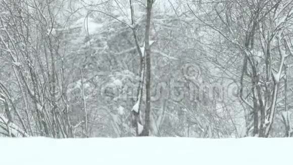雪地上的脚印落在田野里视频的预览图