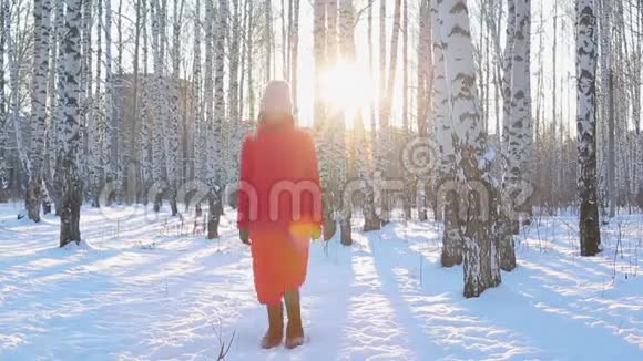 穿着红色冬季夹克和毛毡靴的可爱的年轻女子从寒冷中跳下来并试图在带有桦树的图案城市公园保暖视频的预览图