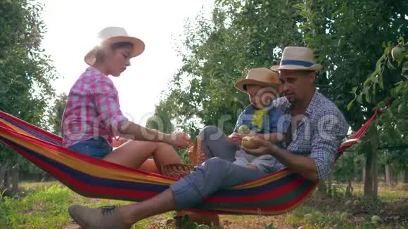 无忧无虑的假期一家人坐在吊床上扔苹果快乐地在美丽的花园里举手视频的预览图