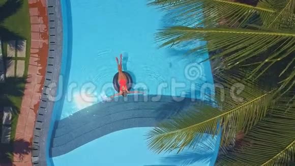 女人在棕榈树下游泳视频的预览图