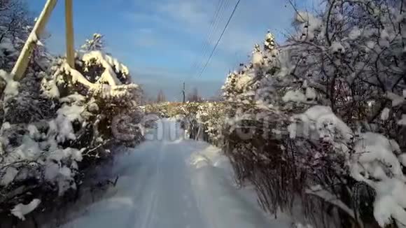 无人机飞过冬季村舍的道路森林房子和雪中小径视频的预览图
