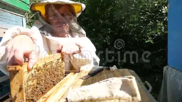 一个穿着特别西装的养蜂人在夏天看着花园里的蜜蜂用蜂窝做的框架视频的预览图