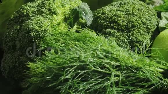 绿湿混合蔬菜套装视频视频的预览图