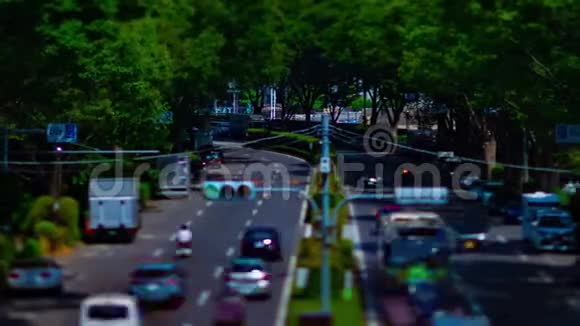 东京Yoyogi公园附近的一条绿色街道的时间推移白天的恐慌视频的预览图