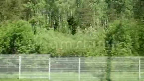 茂密的森林和栅栏预示着野生动物要上铁路从移动列车的窗口查看视频的预览图