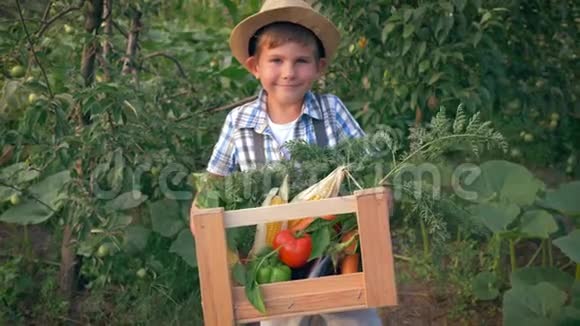 秋天的收获戴草帽的快乐男孩手里拿着盒子花园里放着新鲜蔬菜视频的预览图