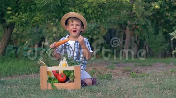 收获时间带胡萝卜的乡村孩子坐在花园里放新鲜蔬菜的木盒附近视频的预览图
