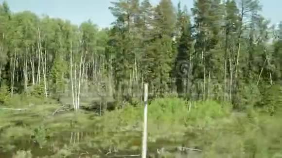 从火车开动的窗口可以看到茂密的森林慢镜头夏天乘火车旅行视频的预览图