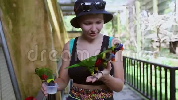 环境人与自然的概念鹦鹉鸟在少女手中微笑的女人玩她的鸟宠视频的预览图