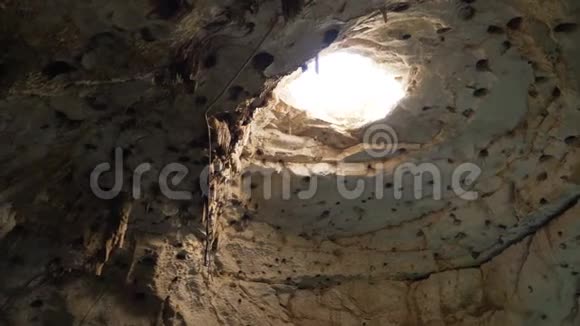 一只小蝙蝠在塞诺特的洞穴里飞翔墨西哥尤卡坦4K视频的预览图
