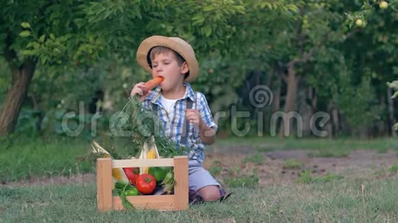 农村孩子吃胡萝卜靠近活跃的狗坐在装有新鲜蔬菜的木箱旁边视频的预览图