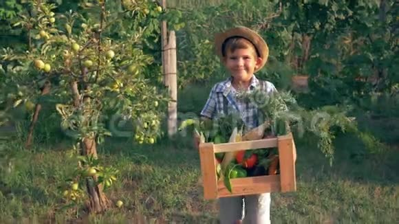 村里的孩子拿着装有有机蔬菜的盒子在花园里的树间散步视频的预览图