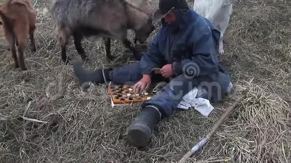 一个穿着脏衣服的老人坐在山上玩跳棋在一片草地上放着一群山羊视频的预览图
