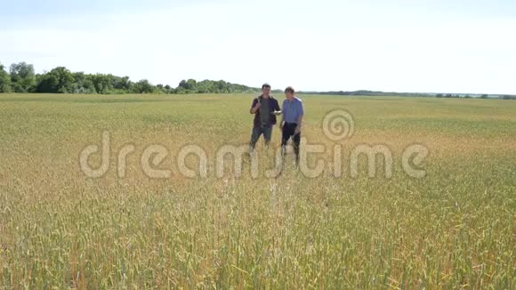 两个农民站在麦田里他们正在日落时检查公司视频的预览图