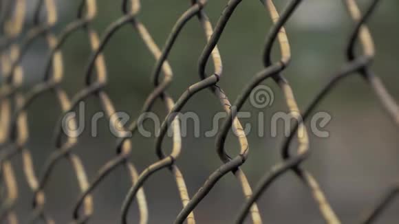 年轻女子的近景她的手滑在围栏区域的金属网上视频的预览图