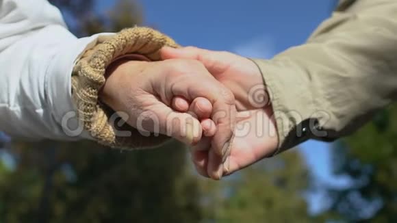 老年男女牵手老年情侣浪漫约会爱情亲密视频的预览图