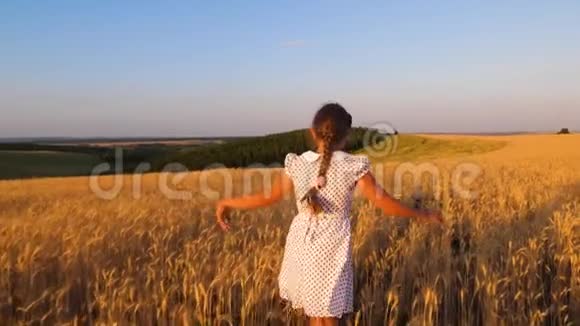 少女在成熟的麦子里跳舞慢动作视频的预览图