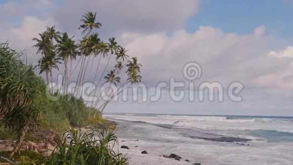 美丽的背景拍摄田园棕榈树在惊人的海洋度假海滩泡沫白色波浪和阳光明媚的夏季天空视频的预览图