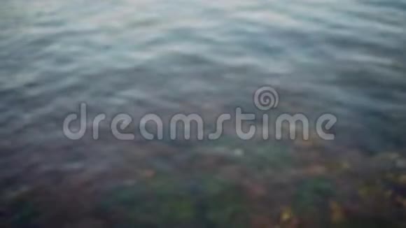夏日里清澈的蓝色波浪水海底长满了五彩藻视频的预览图