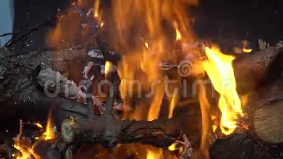 在烤架上烧木头时会有明亮的火焰视频的预览图