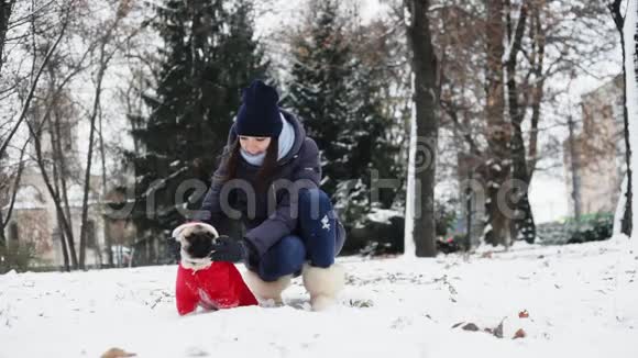 女人在雪地公园玩有趣的小狗狗穿着圣诞老人的衣服穿着红色的西装带着引擎盖在户外霜冻视频的预览图