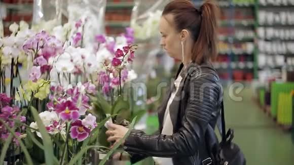 这位女士在超市里在花园和家庭植物部选择室内花盆视频的预览图