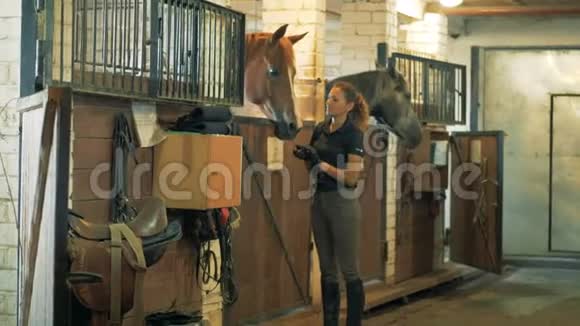 年轻的女马术运动员正在马厩里和一匹马说话视频的预览图