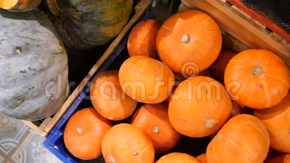 小橘子南瓜在杂货店秋收有机蔬菜在商店盒4K视频的预览图