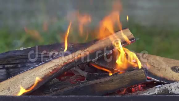 在烤架里烧柴火视频的预览图