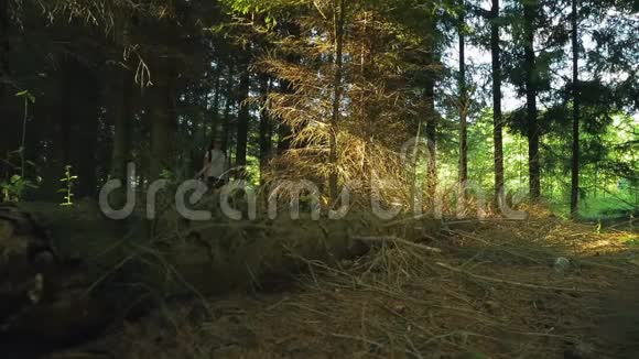 一个女人在阳光明媚的日子穿过茂密的森林视频的预览图