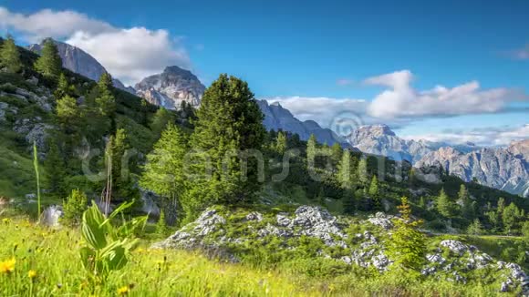 高山花和云过山时间流逝视频的预览图