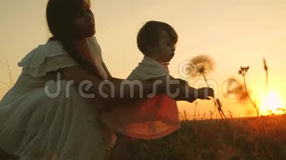 日落时小女儿和妈妈在公园里玩婴儿把手伸向蒲公英幸福的家庭旅行视频的预览图