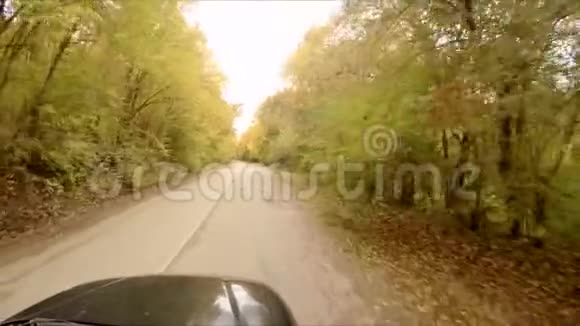 汽车穿过秋天的森林视频的预览图