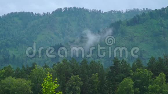 夏季阿尔泰山景视频的预览图