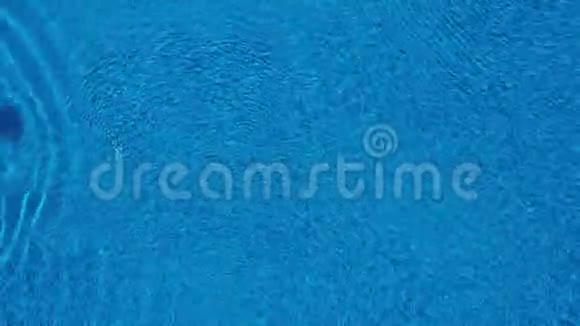 穿红色泳衣的女人在游泳池里游泳从上面看视频的预览图