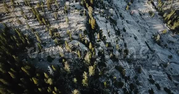 顶部景观惊人的白石岩石景观与松树在史诗般阳光明媚的夏天约塞米蒂国家公园在加利福尼亚视频的预览图