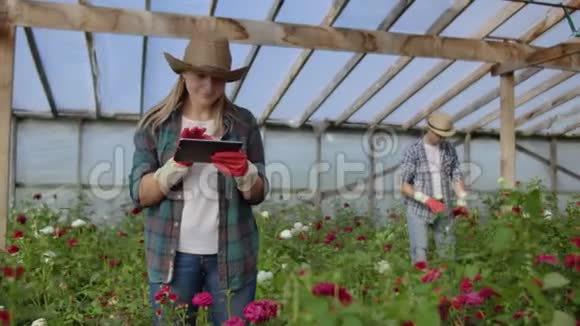 两个幸福的农民在花棚里工作用平板电脑监测和记录买家和买家的作物视频的预览图