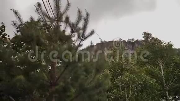 树冠在山中的风的压力下美丽地摇曳着视频的预览图