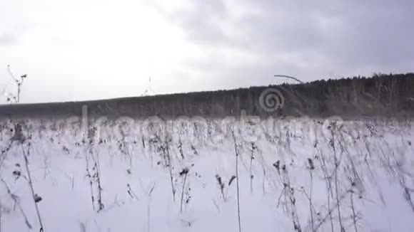 冬天的田野背景中的森林运动摄像机视频的预览图