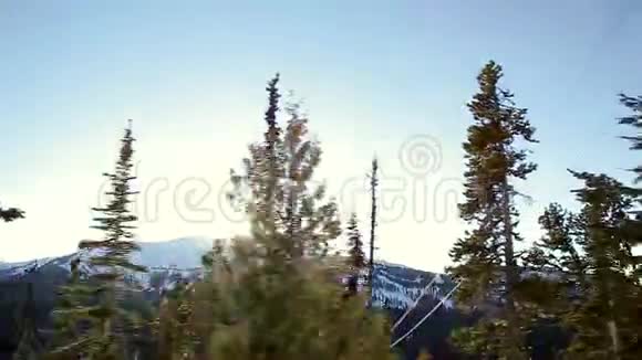 一束阳光穿过树林背景是惠斯勒山视频的预览图