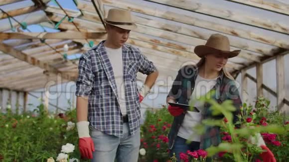 两个幸福的农民在花棚里工作用平板电脑监测和记录买家和买家的作物视频的预览图