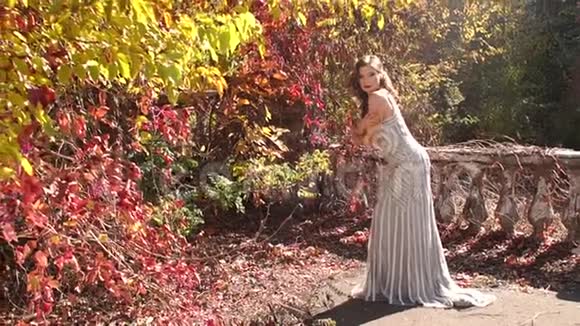 穿着晚礼服的迷人女孩在美丽的秋天公园为照相机摆姿势视频的预览图